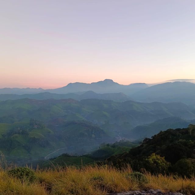Dawn's Embrace: Sun Rise Trek at Lakshmi Hills, Munnar - Walking back through tea country