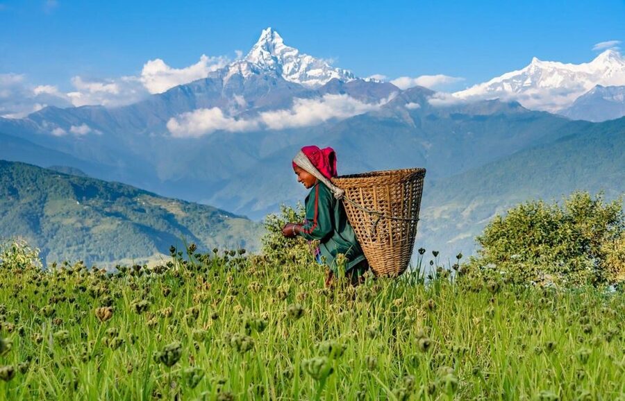 Day Hike at Annapurna Foothills - Why this Pokhara day hike works so well
