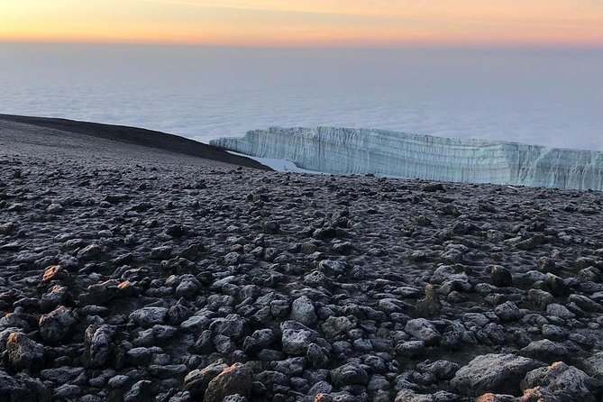 Day Hike to Mount Kilimanjaro (Mandara Hut) - The three-hour climb to Mandara Hut