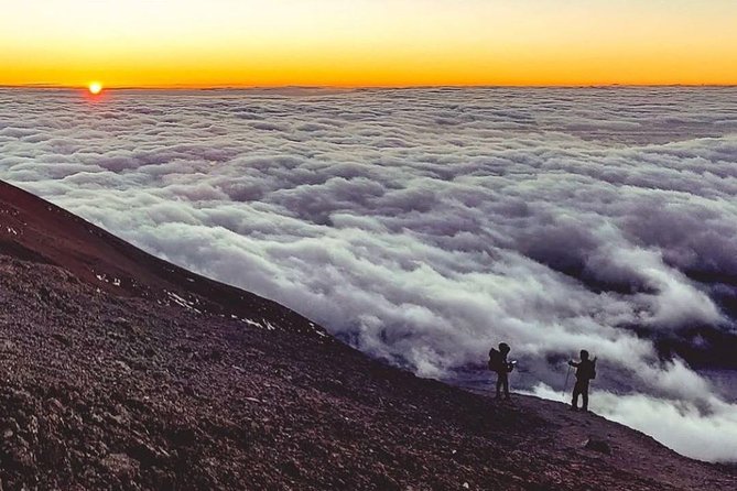 Day Hike to Mount Kilimanjaro (Mandara Hut) - Mandara Hut and the three volcanic peaks