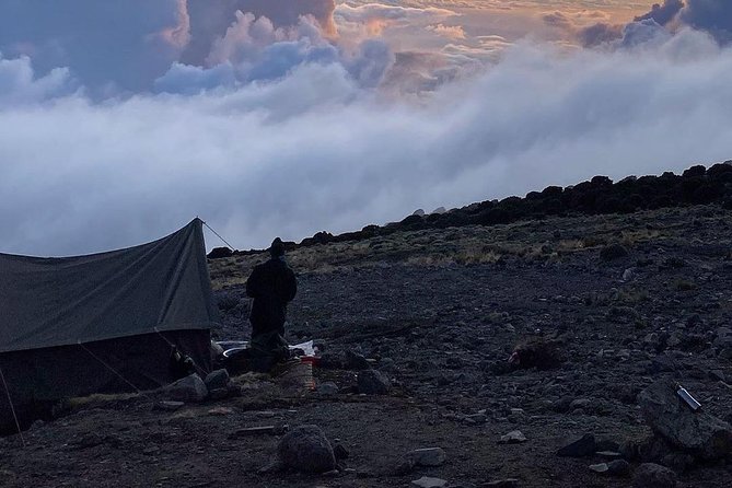 Day Hike to Mount Kilimanjaro (Mandara Hut) - The two-hour descent to Marangu Gate