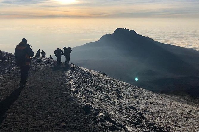 Day Hike to Mount Kilimanjaro (Mandara Hut) - Guides, encouragement, and the private format