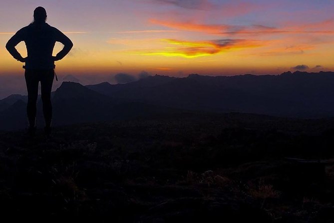 Day Hike to Mount Kilimanjaro (Mandara Hut) - Is $342.70 good value?