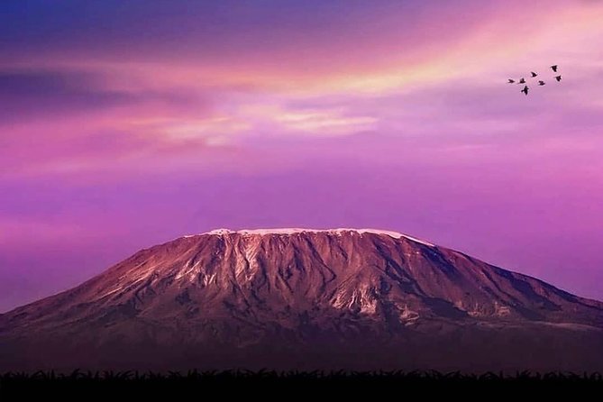 Day Hike to Mount Kilimanjaro (Mandara Hut) - Marangu Gate: where the hike begins