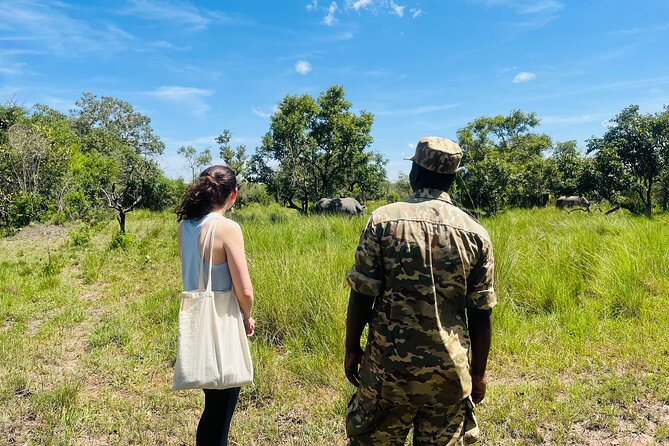 Day Tour Of Ziwa Rhino Sanctuary and Wildlife Ranch - ZIWA RHINO TREKKING - Leaving Kampala for Ziwa Rhino Sanctuary