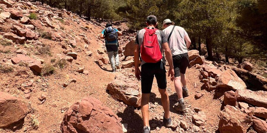 Day Trek In Atlas Mountais & Taoudja Summit 2720m - What the $34 price really covers