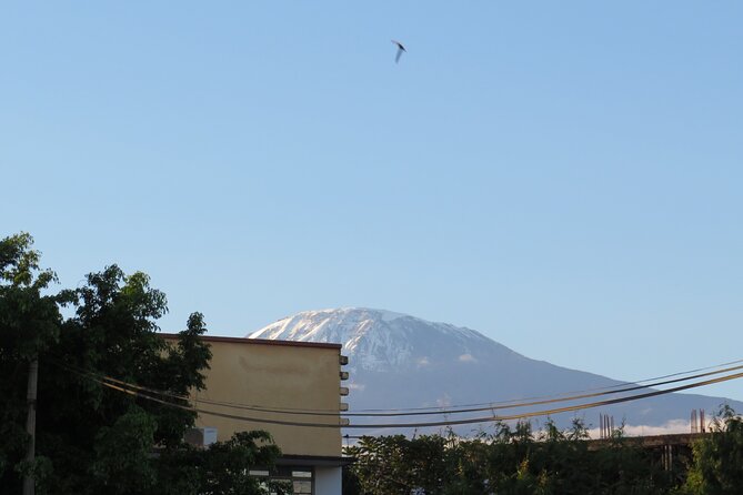 Day Trip to Kilimanjaro National Park - Key details before you book