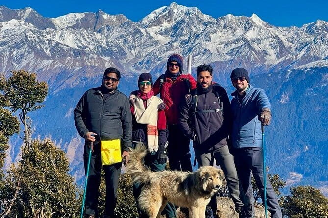 Dayara Bugyal and Surya Top Trek - What the Dayara Bugyal and Surya Top trek is really like