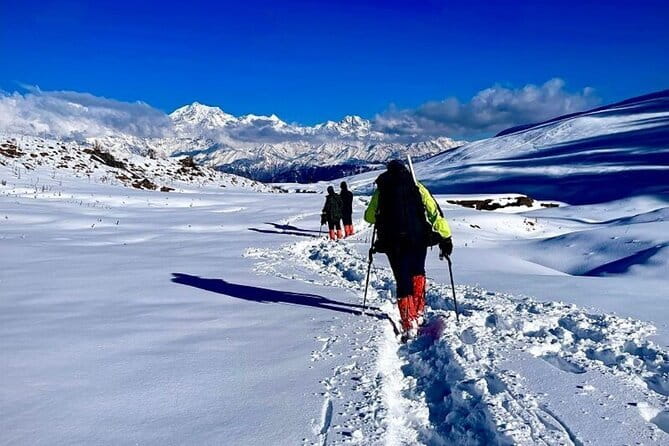 Dayara Bugyal and Surya Top Trek - Day 2: Forest walking from Raithal to Gui