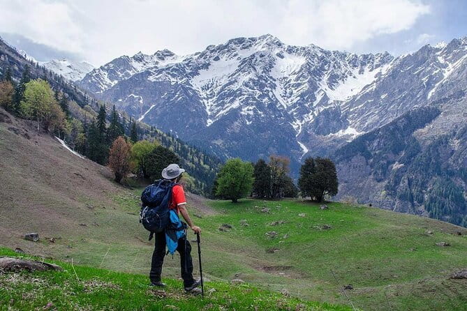 Dayara Bugyal and Surya Top Trek - Day 4: Descending to Raithal and returning to Dehradun