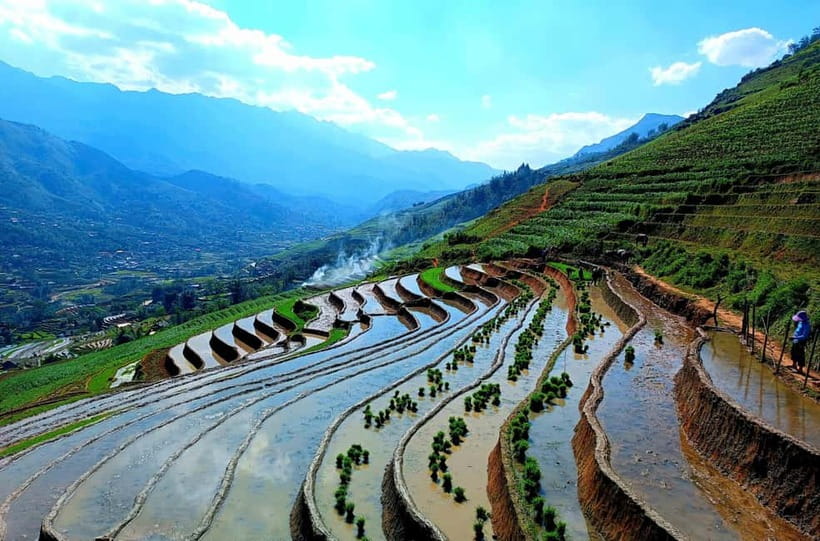 Discover Sapa: 2D1N Trekking Adventure & Cozy LaLa Homestay - Bamboo forest and rice fields on the way to Hau Thao
