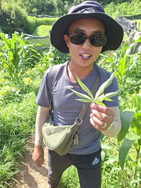 Discover Sapa: 2D1N Trekking Adventure & Cozy LaLa Homestay - Dinner, happy water, games, and karaoke