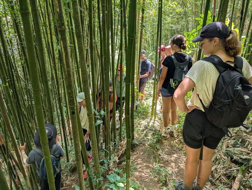 Discover Sapa: 2D1N Trekking Adventure & Cozy LaLa Homestay - Day two through rice terraces and Giang Ta Chai