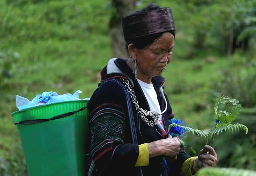 Discover Sapa: 2D1N Trekking Adventure & Cozy LaLa Homestay - Returning to Sapa by road