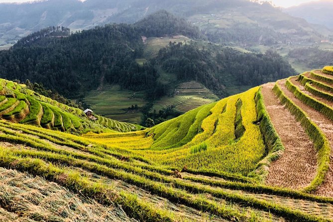 Discover the Beauty of Sa Pa: A One-Day Trek - Lao Chai and the scale of the rice terraces