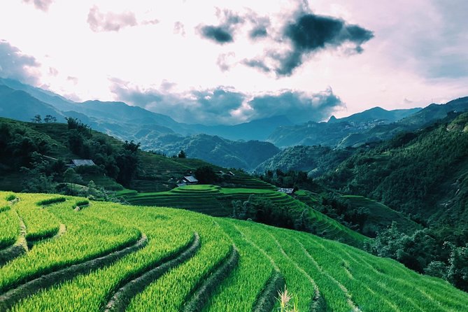 Discover the Beauty of Sa Pa: A One-Day Trek - Lunch, water, and the return to Sa Pa