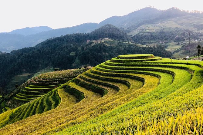 Discover the Beauty of Sa Pa: A One-Day Trek - Group size, guides, and the feel of the day
