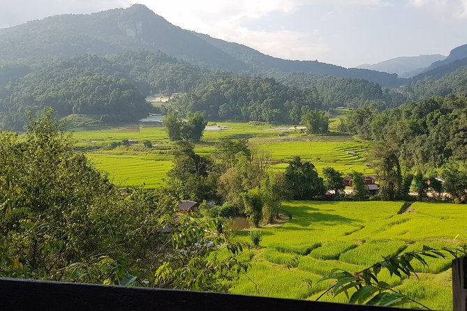 Doi inthanon National Park + 2Hour Fantastic Trekking with Lunch - Lunch after the walk