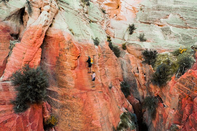 East Zion Elk Heart Cliffs Via Ferrata and Rappelling (3Hr) - Reaching the top and taking in the view