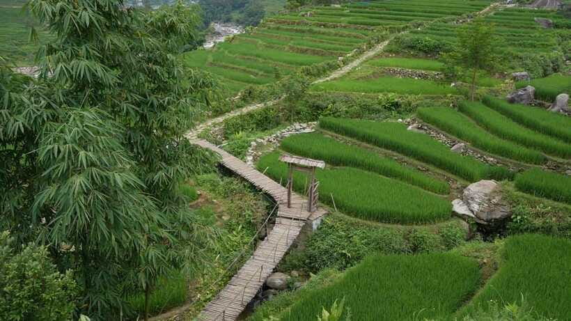 Easy Trek in Sapa mountain : Y Linh Ho - Lao Chai - Ta Van - Y Linh Ho and the biggest rice terraces