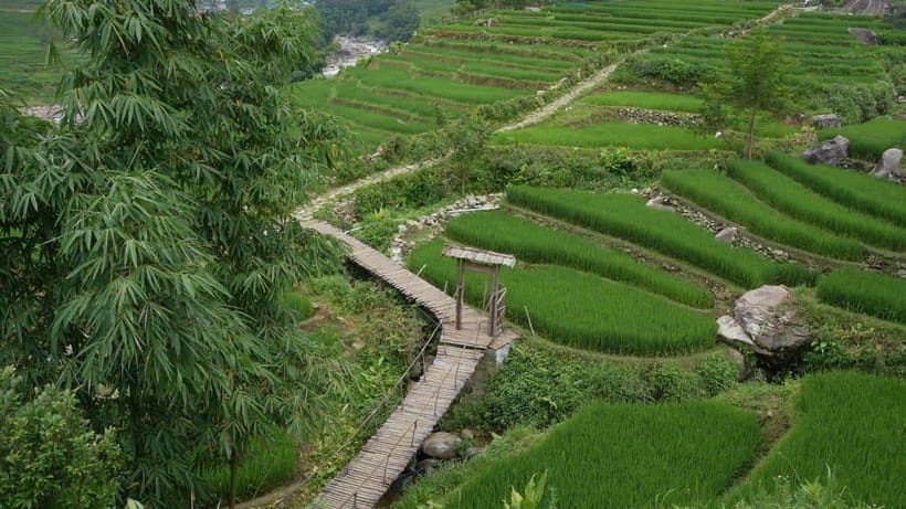 Easy Trek in Sapa mountain : Y Linh Ho - Lao Chai - Ta Van - Starting at Hoang Van Thu and leaving Sapa