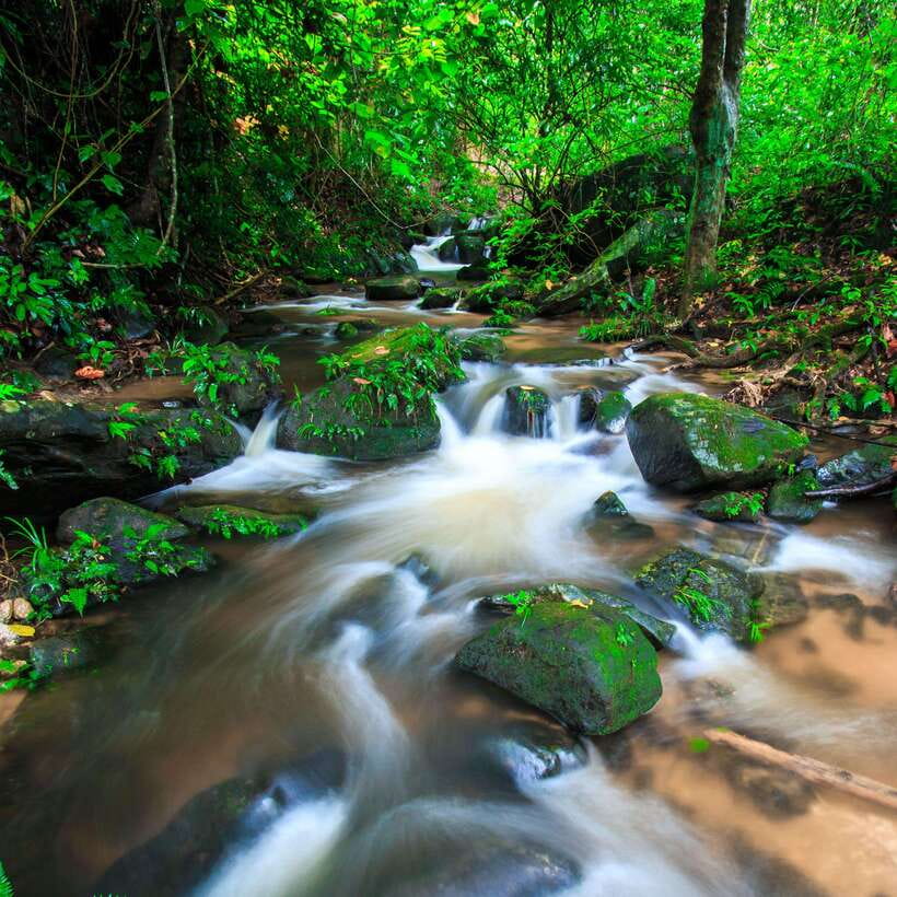Eco-Friendly: Doi Inthanon & Pha Dok Siew Trekking Day Trip - Why Doi Inthanon makes a good day out