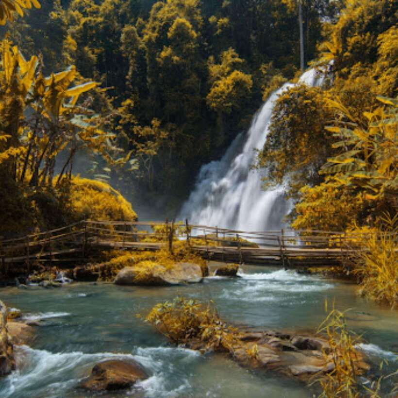 Eco-Friendly: Doi Inthanon & Pha Dok Siew Trekking Day Trip - The early ride from Chiang Mai