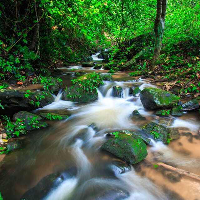 Eco-Friendly: Doi Inthanon & Pha Dok Siew Trekking Day Trip - What the Pha Dok Siew trek demands