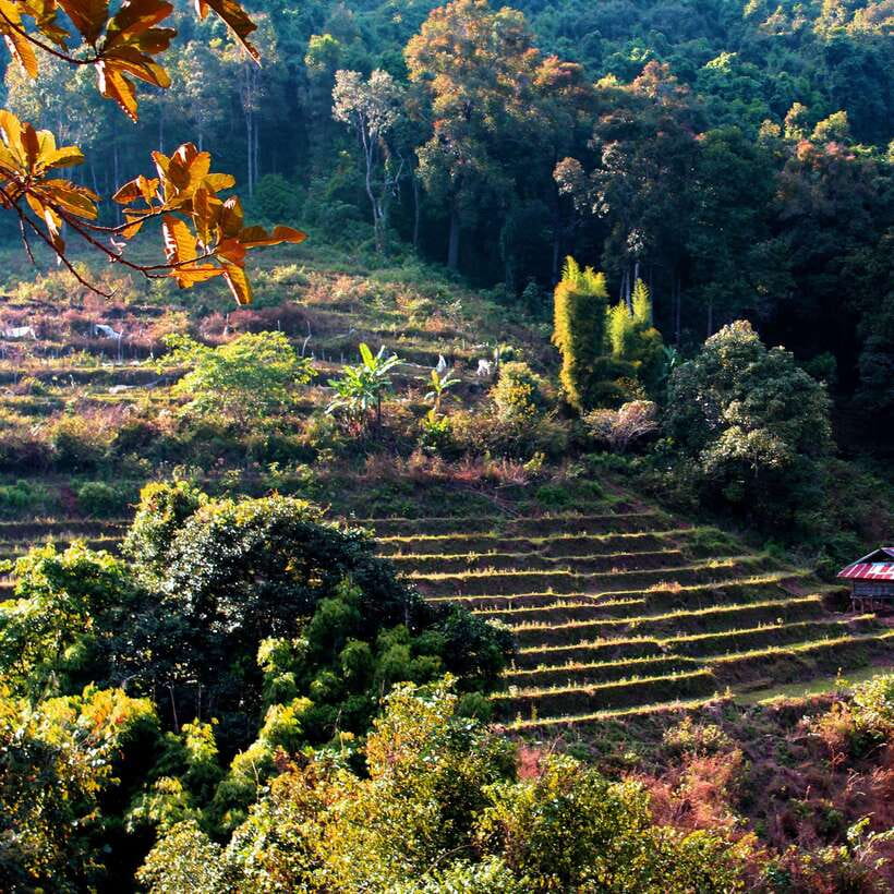 Eco-Friendly: Doi Inthanon & Pha Dok Siew Trekking Day Trip - Thailand’s highest point at Doi Inthanon