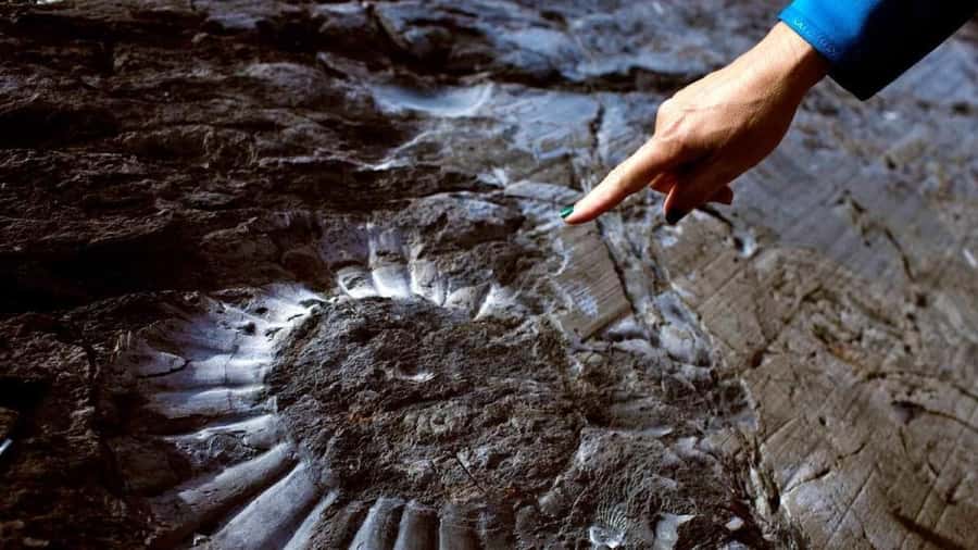 El Calafate: Fossil Canyon Trekking at Estancia Cristina - From El Calafate to Punta Bandera