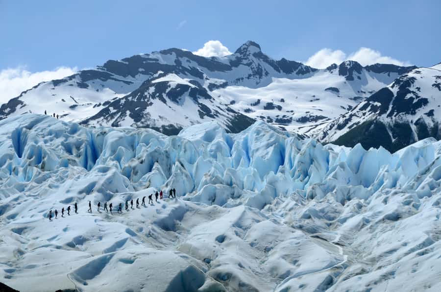 El Calafate: Perito Moreno Glacier Trekking Tour and Cruise - The Magellanic forest and lunch break