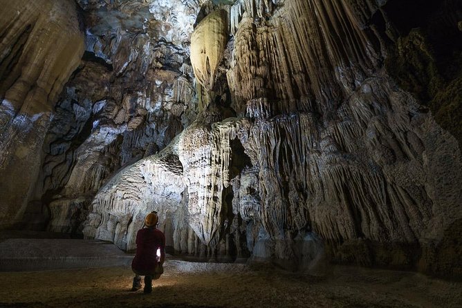 Elephant Cave and Ma Da Valley Jungle 1 Day Trek - Why this nine-hour Phong Nha trek feels different