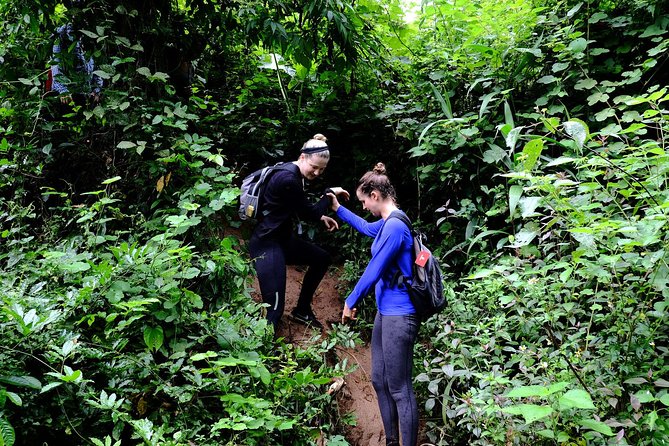 Elephant Cave and Ma Da Valley Jungle 1 Day Trek - The afternoon walk to Tra Ang Cave