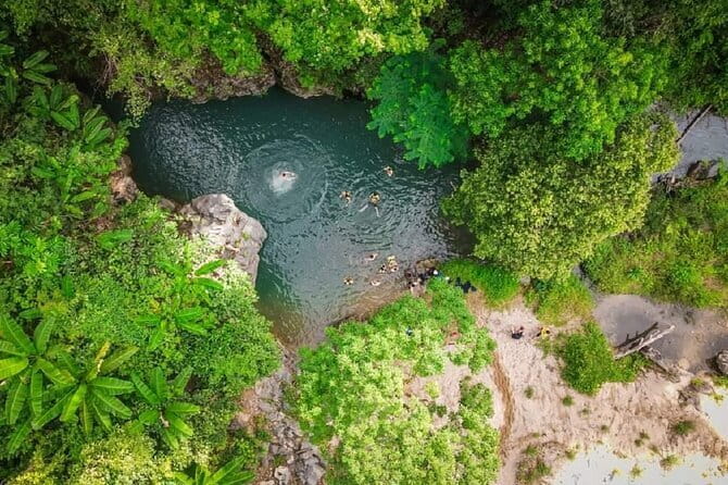 Elephant cave and Mada valley Jungle trek - 1Day - Key points to know before booking