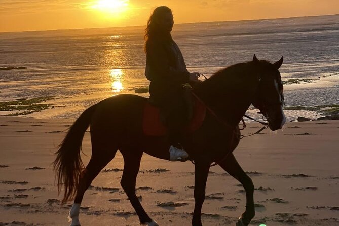 Essaouira Beach Horse Rides &Treks for All Levels - Key points at a glance