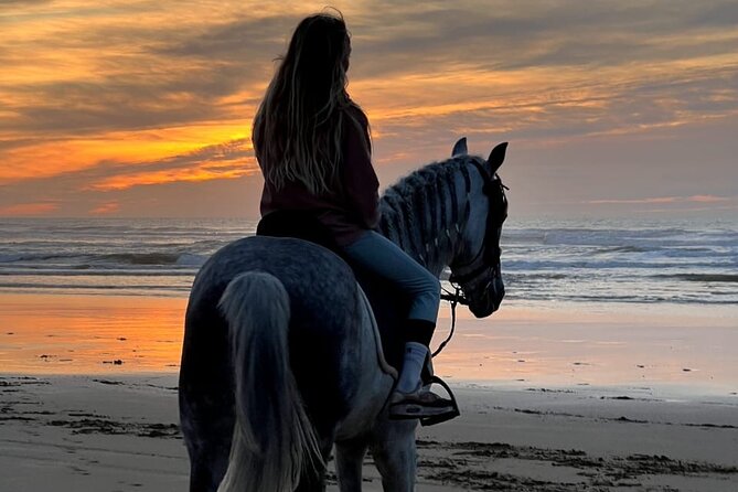 Essaouira Beach Horse Rides &Treks for All Levels - Starting in Diabat, just outside Essaouira