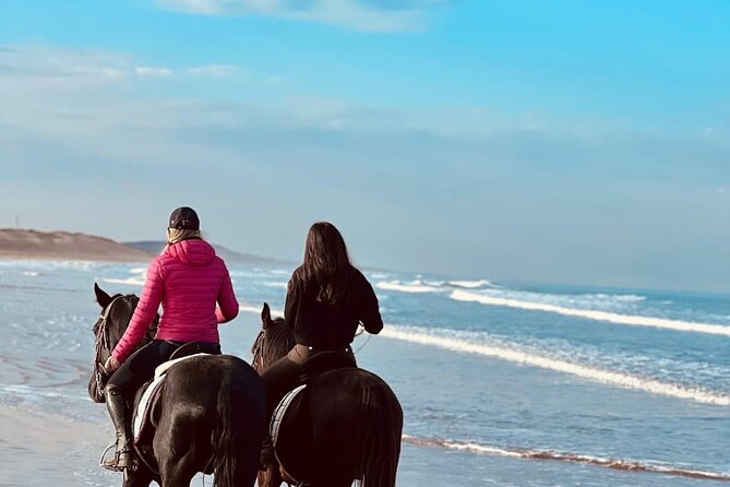 Essaouira Beach Horse Rides &Treks for All Levels - Why sunset rides are worth considering