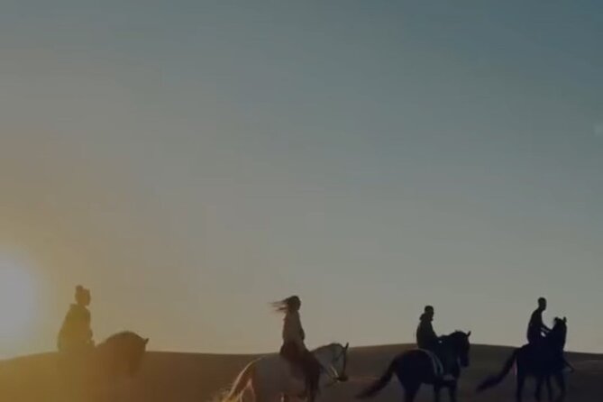 Essaouira Beach Horse Rides &Treks for All Levels - Photos, videos, and the personal touch