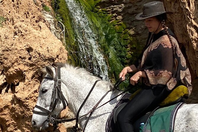 Essaouira Beach Horse Rides &Treks for All Levels - Price and value at $23.24