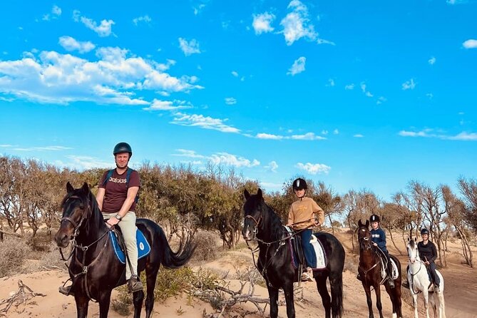 Essaouira Beach Horse Rides &Treks for All Levels - Meeting your horse and settling into the saddle