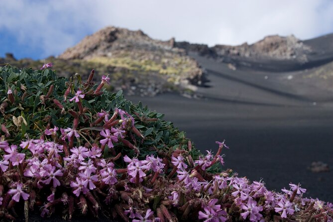 Etna Morning or Sunset - Trek & Lava Tunnel with Gear - Key points to know before booking