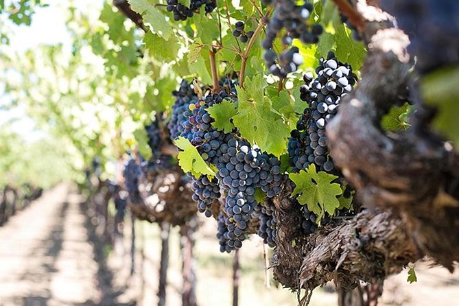 Etna trekking and wine tasting - Inside the Lava-Flow Cave