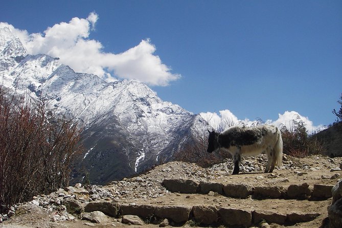 Everest Base Camp - Cho La Pass - Gokyo Trek - Why this route is more than an Everest Base Camp trek