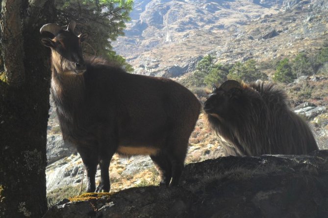 Everest Base Camp Trekking 12 Days - Namche Bazaar and the first acclimatization day