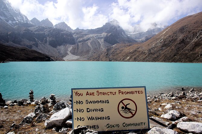 Everest Gokyo Valley Trek - 12 days - Day 5: Rhododendron forest and high summer settlements