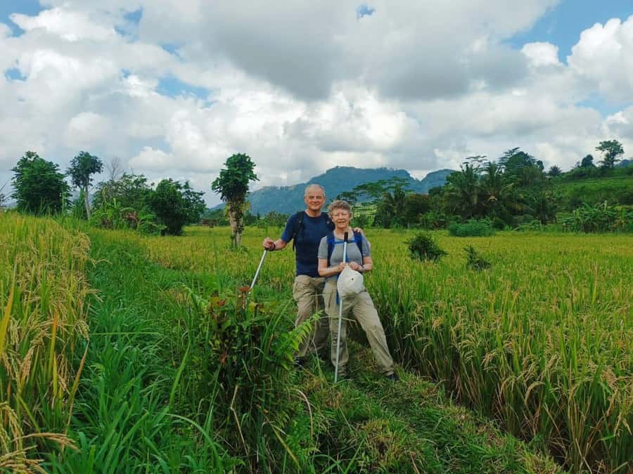 Explore rice terraces munduk & waterfall trekking experience - Why Munduk makes a fine North Bali day out