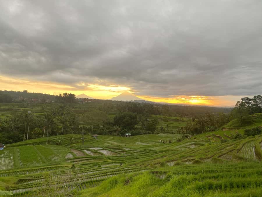 Explore rice terraces munduk & waterfall trekking experience - Group size, guide style, and pace