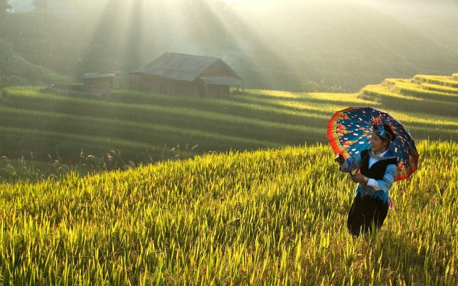 Explore Sa Pa with Overnight Train & Sleeper Bus & Trekking - Early arrival in Lao Cai and the road to Sa Pa