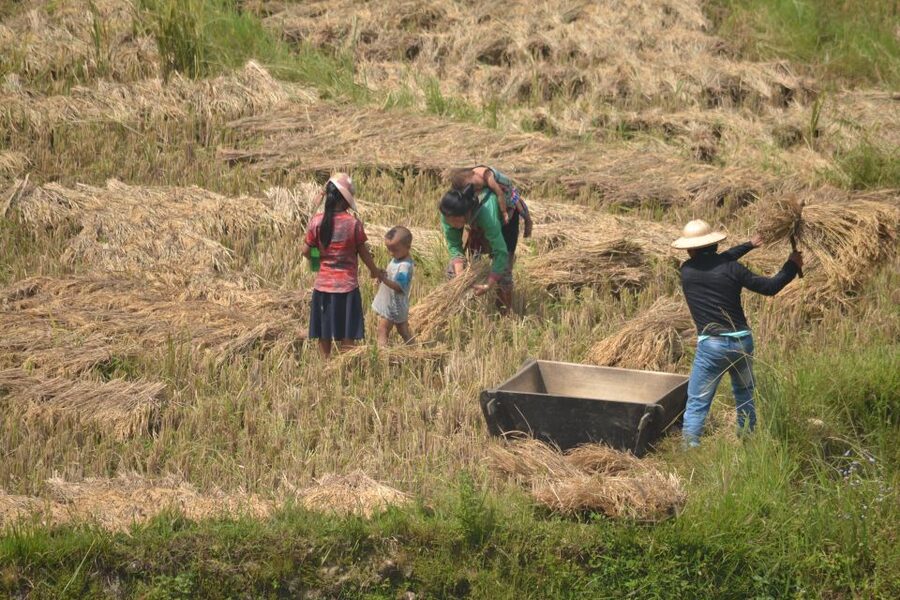 Explore Sa Pa with Overnight Train & Sleeper Bus & Trekking - Ma Tra and Ta Phin: a gentler morning walk