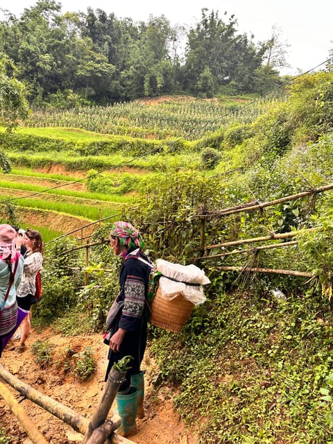 EXPLORE SAPA: 2D1N TREKKING & HMONG CULTURE WITH DINH - What the walking is really like